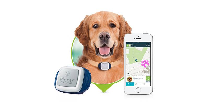 Collare GPS per cani prezzi